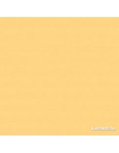 Антисептик кроющий Акватекс Сканди, 2,5л, карамель